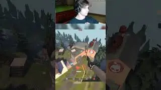 Sentry surf to wallbug