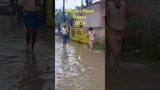 Dhubri flood status 2024 #dhubri #dhubri_flood #assamflood2024