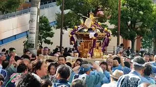 Akabane Baka Matsuri mikoshi