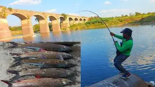 Fishing | Fishing Videos | Pathan fish catching | Rohu Fish hunting | Ahtesham khan fishing