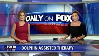 Dolphin-assisted therapy helping those with disability