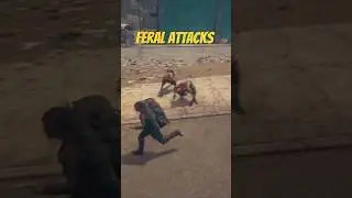 When Ferals Attacks - SOD 2