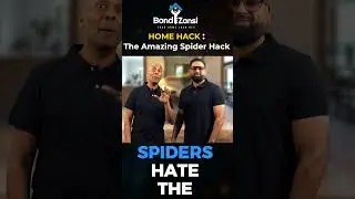 The Amazing Spider Hack #bondzansi #home #hack