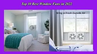 Top 10 Best Window Fans in 2022