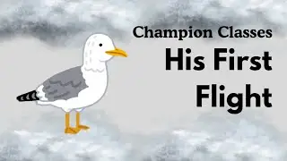 Class 10 | English | Ch 3: His First Flight Full Explanation | Seagull Story | Champion Classes