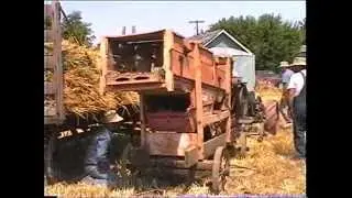 Dufir Threshing Bee (Short Version)