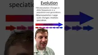 Micro vs Macro Evolution