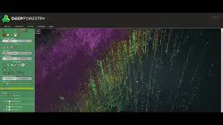 Deep Forestry Cloud Demo - Example of what a 20minute drone survey can achieve.