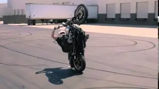 Oh Barracuda!