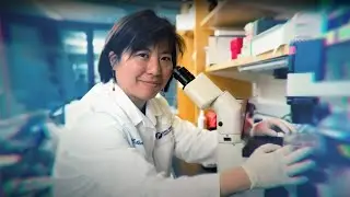 She is awarded the Sj&ouml;berg Prize for laying the foundations of a cancer vaccine