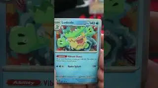 Мои самые ценные находки из мега-бокса Venusaur EX!