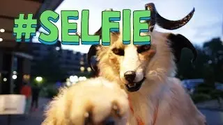 LET ME TAKE A #SELFIE - Furry Edition - Confuzzled 2014 Music Video by Tiger_Icecold