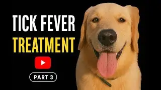 Rimi Tick Fever Treatment Part 3