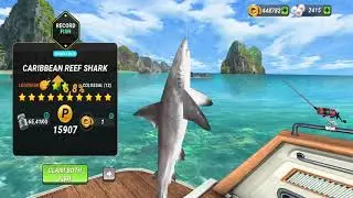 New Record Caribbean Reef Shark - Fishing Clash Gameplay Ep184