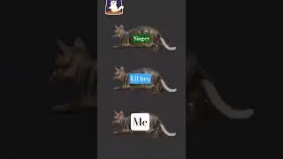 rock cats body