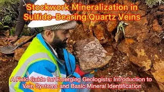 Intro to Stockwork Vein Systems & Mineral ID | Field Guide for Aspiring Geologists