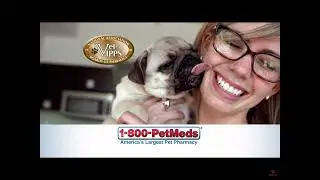 Pedmeds Commercial: Pets Are Family.    Voiced By: SpongeBob & Friends 1-By-1