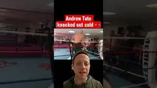 Andrew Tate Gets Knocked Out🥊 #andrewtate #topg #tate #tatespeech #cobratate #boxing #mma #knockout