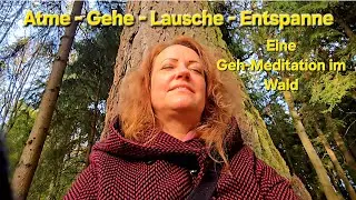 Waldspaziergang Gehen - Lauschen - Entspannen - in Balance kommen #gesundheit #yoga #nature #wald