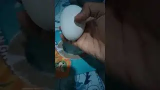 Telur Dino Sheezan n Sanaya