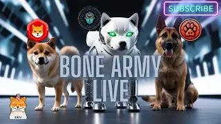 🚨 LIVE: $SHIB, $BONE, $TREAT, $BAD #KNINE & $SHY - MASSIVE UPDATES YOU CAN&rsquo;T MISS! 🔥🚀🐕