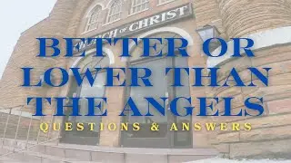 Questions & Answers | Better or Lower Than the Angels? | Hebrews 2:5-9