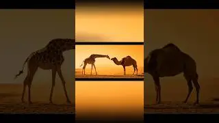 Epic Animal Battle &ndash; Cinematic video #ai #cinematic #animals #fight