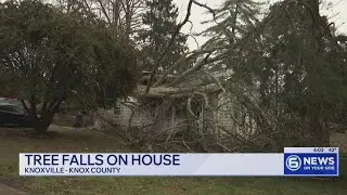 Four displaced after tree falls on house in Knoxville