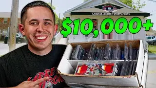 We Spent $10,000+ On New Pickups In Our Brand New Sports Card Shop! 💵