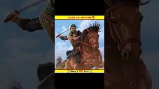 Tiger of Mysore🦁 History of Tipu Sultan #tipusultan #shorts #shortvideo
