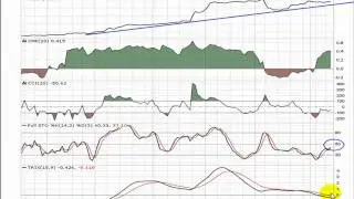 PNTV (Players Network) Annotated Video Chart