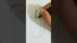 How to draw Bell pepper/ Bell pepper easy drawing step by step