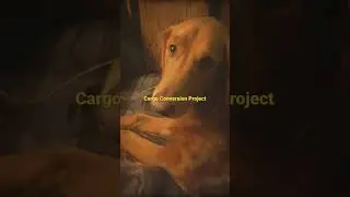 Cargo Conversion Project update!!