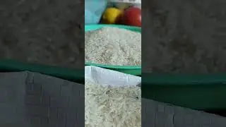 ASMR raw rice eating - Craved day Jan 23,2026