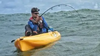 GRANDES PEIXES DO MAR. Pesca com Jig e Popper!