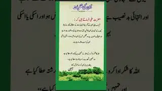 hazrat Ali quotes #sister #hazratali #quotes #youtubeshorts #shortsfeed #trending #short