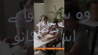 4 types of human/Male Personality Types - Which One Are You !-Zahra Says