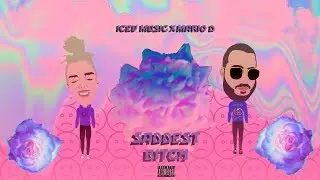 IceVMusic x Mario D - Saddest Bitch (Prod. Icekrim)