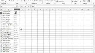 Excel 2013 Split a Column of Data Using Flash Fill