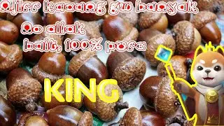 Bug Kacang Chess rush auto top global