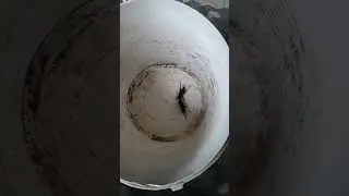 tuổi thơ dữ dội ai từng chơi trò này cho cái bình luận 