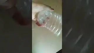 pen stand with water bottle