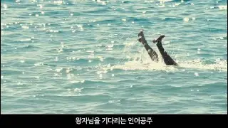 마티아스 쇼에나에츠 '러스트 앤 본' - 하 [Matthias Schoenaerts]
