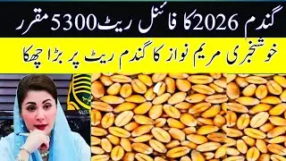 Wheat support price 2026 fixed Govt of Pakistan|Gandam Ki Amdadi Qimat ka Ilan|گندم کی امدادی قیمت 
