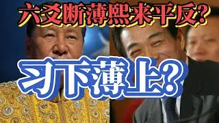 六爻预测中共元老为薄熙来平反真假：习下薄上？ 薄熙来八字解析为何输给包子