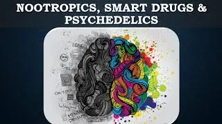Nootropics, Smart Drugs & Psychedelics