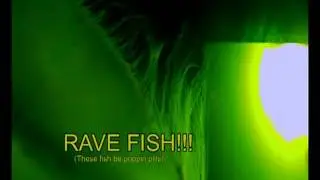 Jellyfish Rave