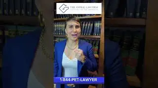 1-844-PET-LAWYER