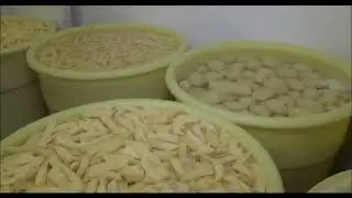Coupe frite compacte sp&eacute;cial restaurant fabriqu&eacute; en Angleterre 1500kgh petit budget