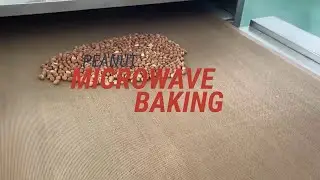 Peanut Microwave Baking